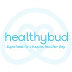 healthybud