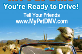 MyPetDMV - The original Pet Drivers License